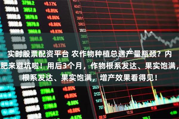 实时股票配资平台 农作物种植总遇产量瓶颈？内行都选的精选水溶肥来避坑啦！用后3个月，作物根系发达、果实饱满，增产效果看得见！